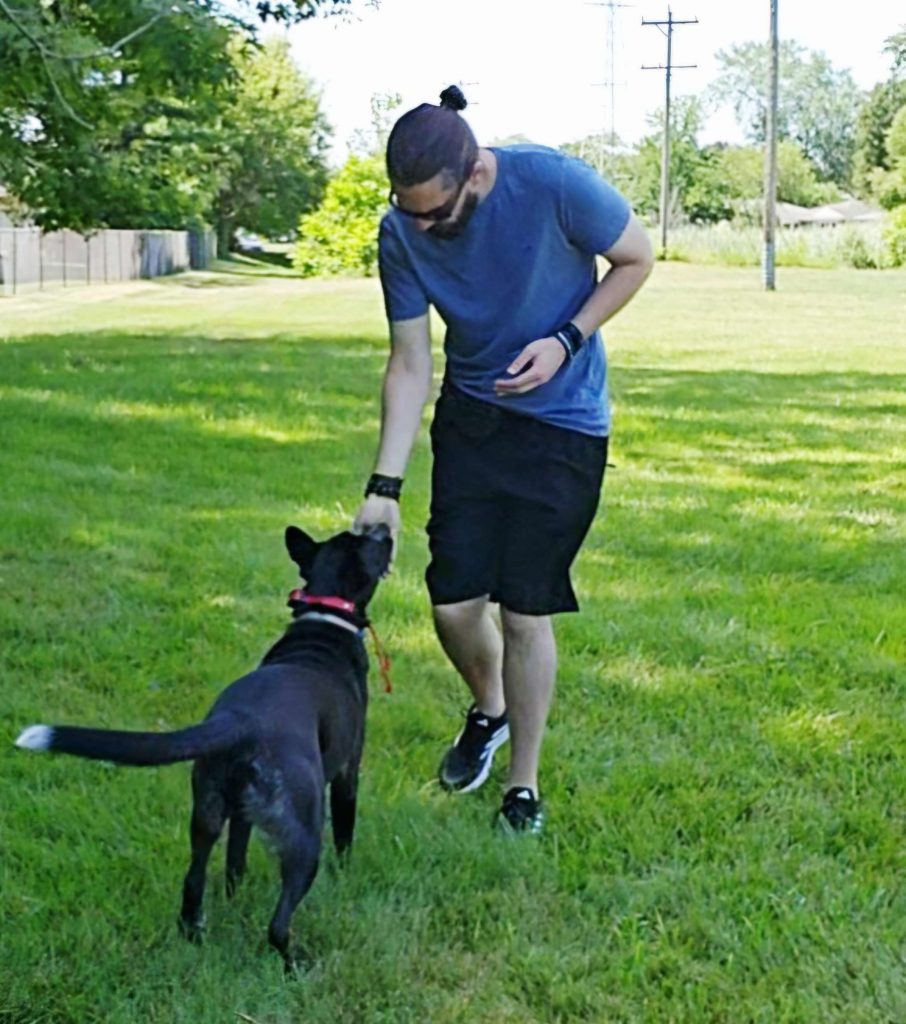 dog playing